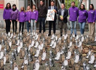 Gaia lance une campagne choc avec 700 chats en carton pour sensibiliser à la surpopulation féline Gaia lance une campagne choc avec 700 chats en carton pour sensibiliser à la surpopulation féline