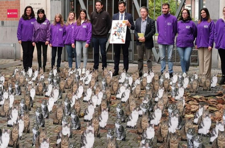 Gaia lance une campagne choc avec 700 chats en carton pour sensibiliser à la surpopulation féline