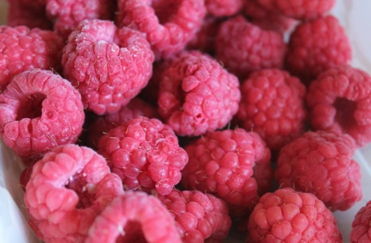 Framboises surgelées : le Maroc rejoint le top 5 des fournisseurs aux Pays-Bas