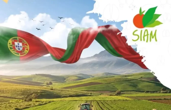 SIAM 2026 le Portugal à l’honneur pour renforcer l’alliance agricole avec le Maroc.jpeg SIAM 2026 : le Portugal à l’honneur pour renforcer l’alliance agricole avec le Maroc