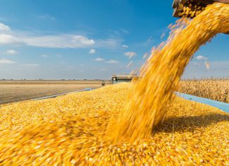 Droits de douane : le Maroc maintient une protection élevée de son agriculture Droits de douane : le Maroc maintient une protection élevée de son agriculture