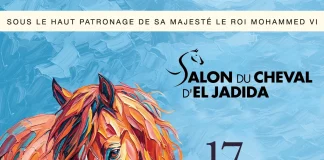 El Jadida prépare une édition internationale du Salon du Cheval en octobre El Jadida prépare une édition internationale du Salon du Cheval en octobre