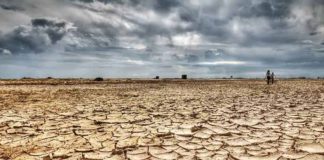 Le Maroc teste l’alerte satellitaire européenne contre la dégradation des sols Le Maroc teste l’alerte satellitaire européenne contre la dégradation des sols